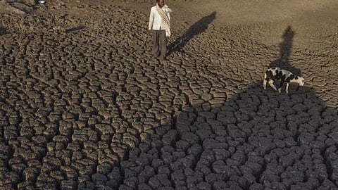 Maharashtra Drought Condition