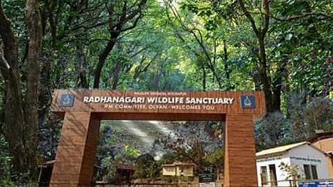 Radhanagari Sanctuary