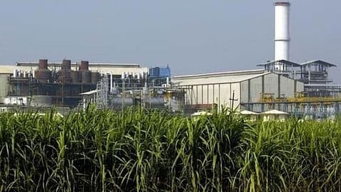 Sugarcane FRP