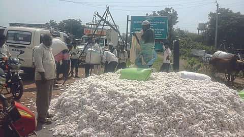 Cotton Market