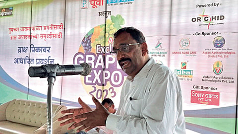 Agrowon Grape Expo