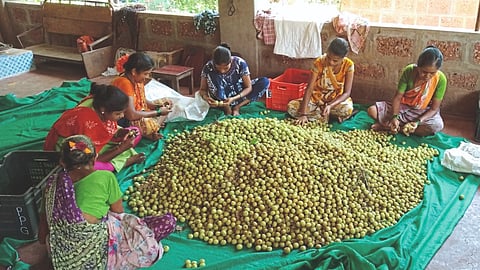 Women Empowerment