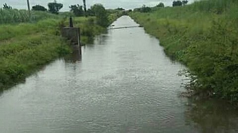 Water Irrigation