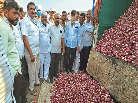 Nashik Onion