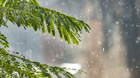 Rain 