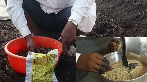 Bio Fertilizers 