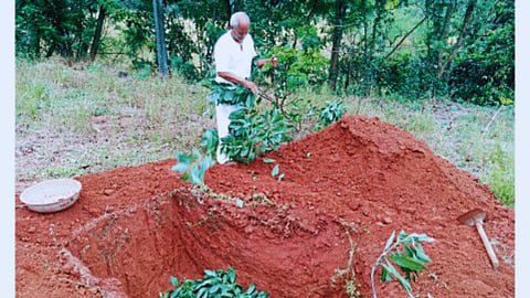 Agriculture