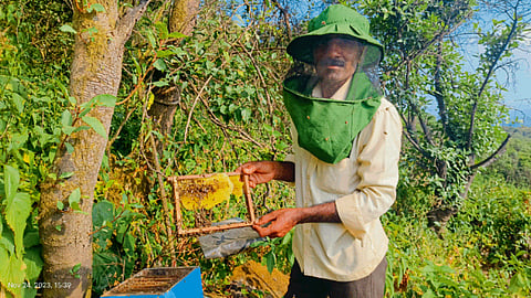 Beekeeping 