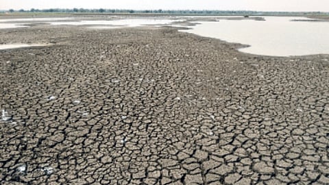 Drought Condition