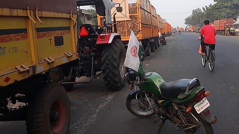 Sangli Sugarcane Rate