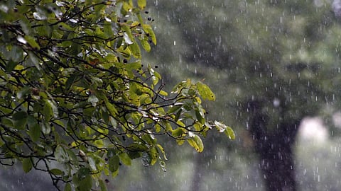 Rain Update 