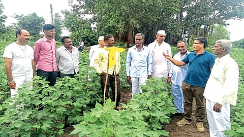 Agriculture Development