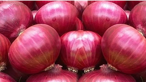 Red Onion Rate