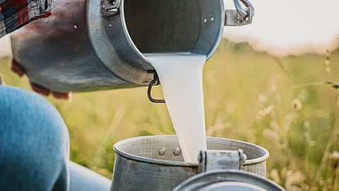 Kolhapur Milk Rate