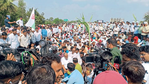 Sugarcane FRP Protest 