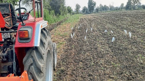 Agricultural Mechanization