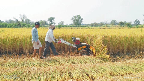 Harvesting
