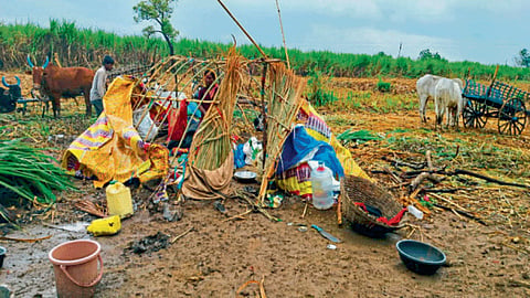 Post Mansoon Rain