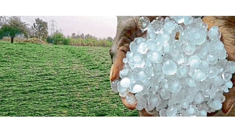 Hailstrom 