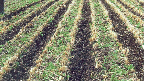 Agriculture Technology