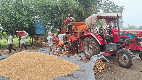 Crop Harvesting 