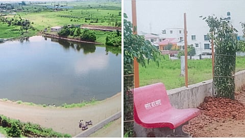 Rural Development