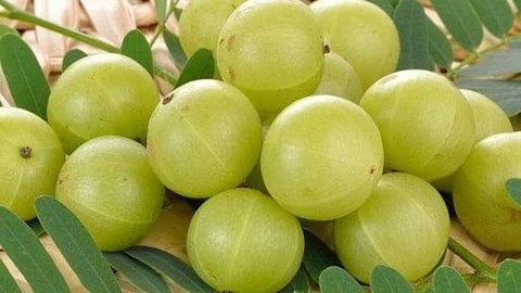 Amla 