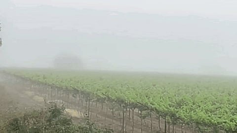 Foggy Weather