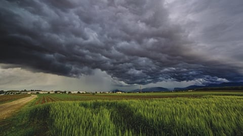 Agriculture Weather 