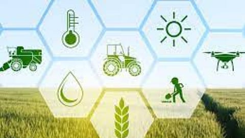Agriculture Management