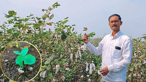 Crop Damage 