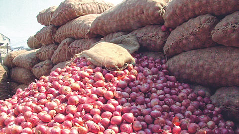 Onion 