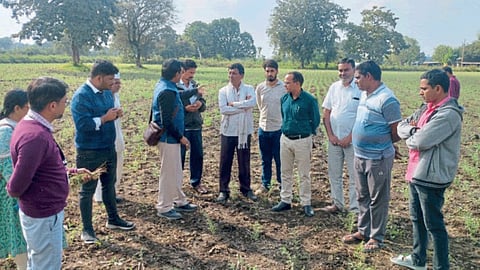 Agriculture 