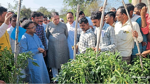 Crop Damage 