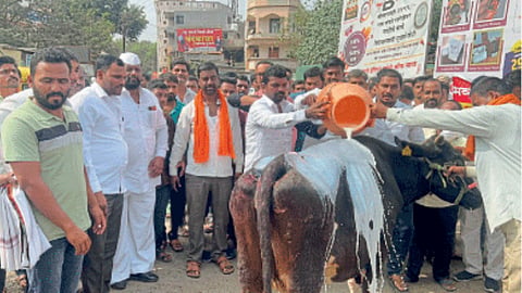 Dairy Farmer Protest