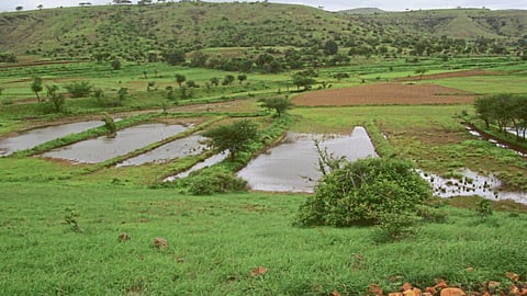 Drought Management