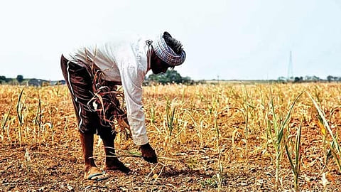 Maharashtra Drought