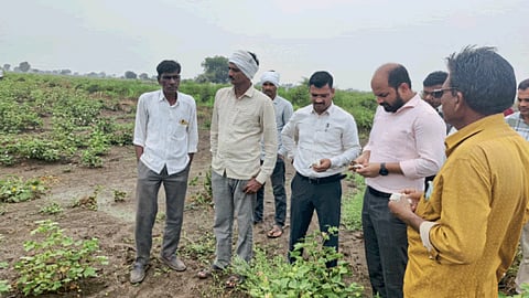 Crop Damage 