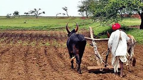 Mahatma Phule Farmer Loan