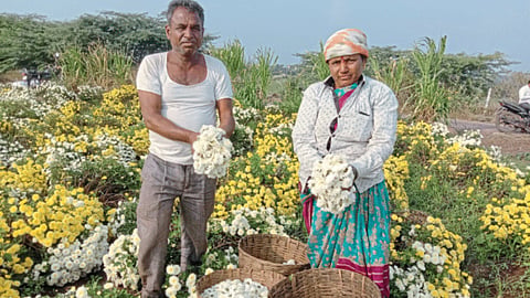 Farmer
