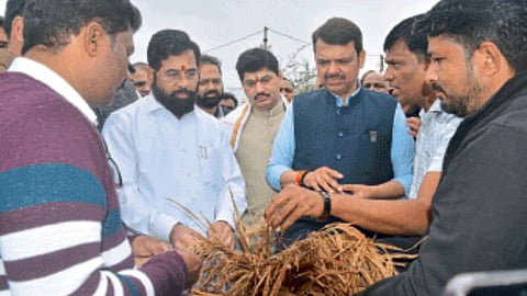 Crop Damage 