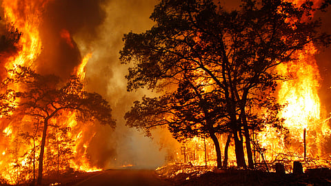 Nainital Forest Fire