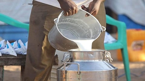 Milk Rate