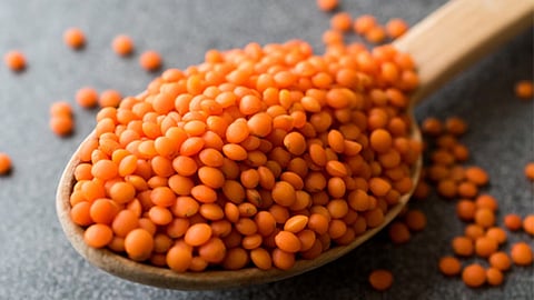 Masoor Import
