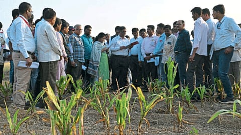 Maharashtra Drought