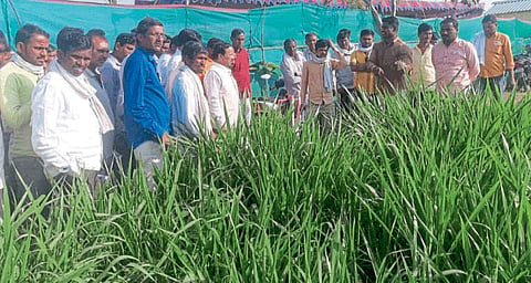 Sericulture Training