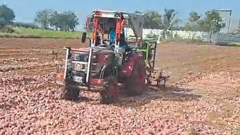 Onion Market
