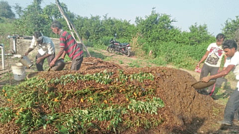 Soil Conservation