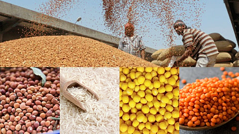 Agricultural Commodity Market
