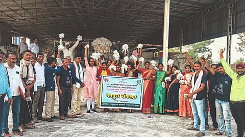 Cotton Processing
